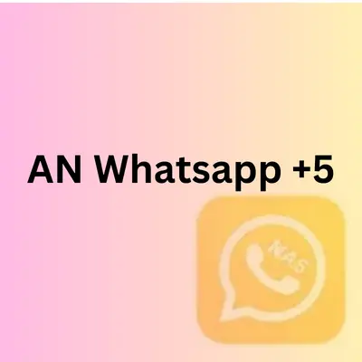 AN Whatsapp +5